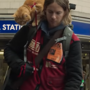 james bowen a gift from bob luke treadaway jacket with hood