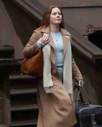 the woman in the window anna fox brown coat