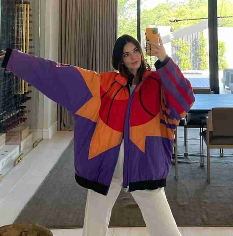 Kendall jenner windbreaker hotsell