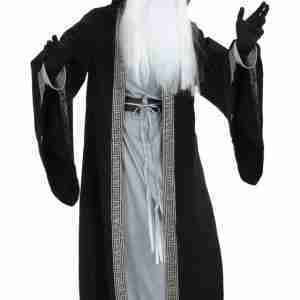 Halloween Adult Deluxe Wizard Costume