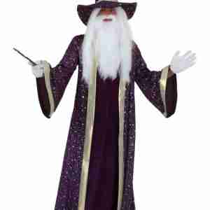 Halloween Adult Purple Wizard Costume
