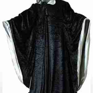 Halloween Wizard Velvet Black & Silver Cloak
