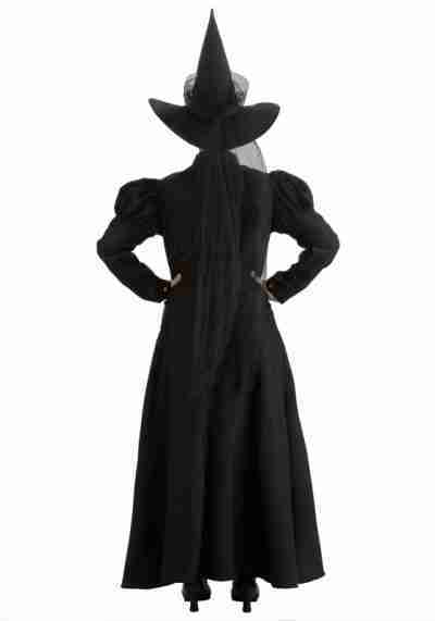 Halloween Womens Deluxe Witch Black Costume