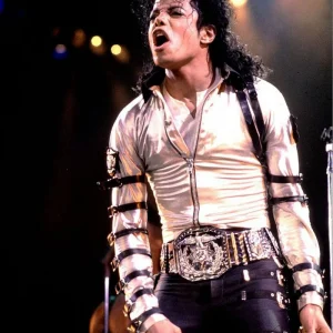 Bad World Tour Michael Jackson Silver Jackets