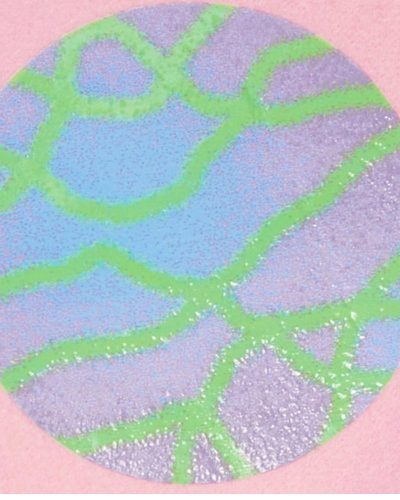 Men's Freeze Max Pink/white Rick And Morty Morty Varsity Full Zip Jacket
